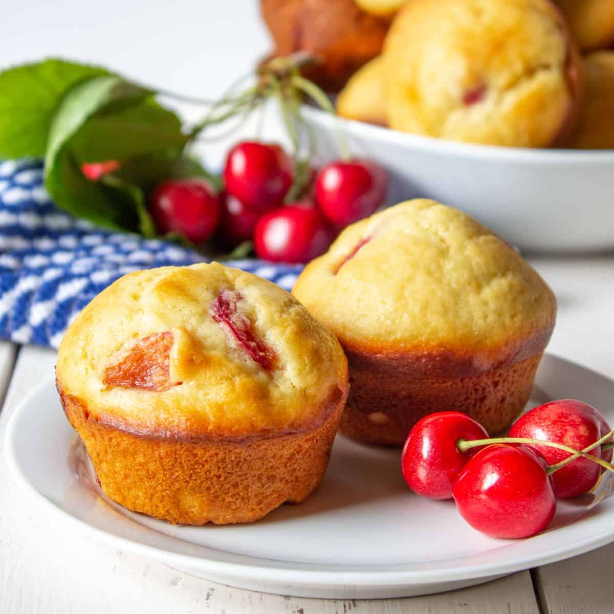 Two cherry muffins on a small white plate.