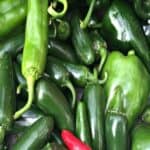 A variety of green chili peppers and one red chili pepper.
