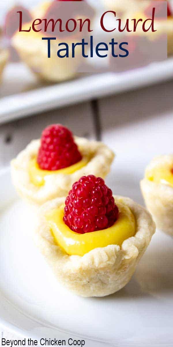 Mini lemon dessert topped with a fresh raspberry. 