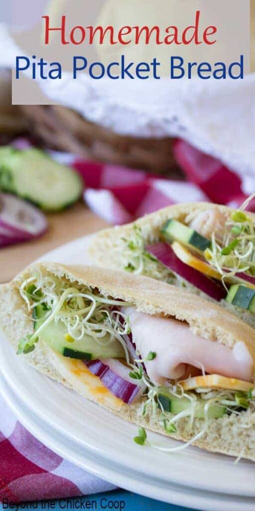 A pita pocket stuffed with turkey, cheese and fresh veggies.
