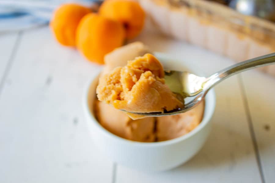 A spoonful of apricot sorbet.