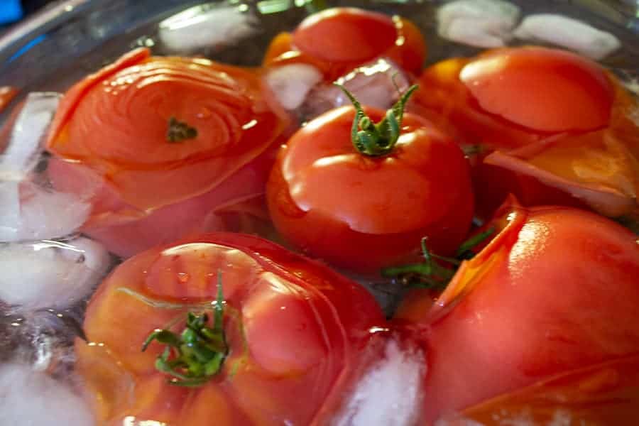 Fresh tomatoes in an ice water bath.