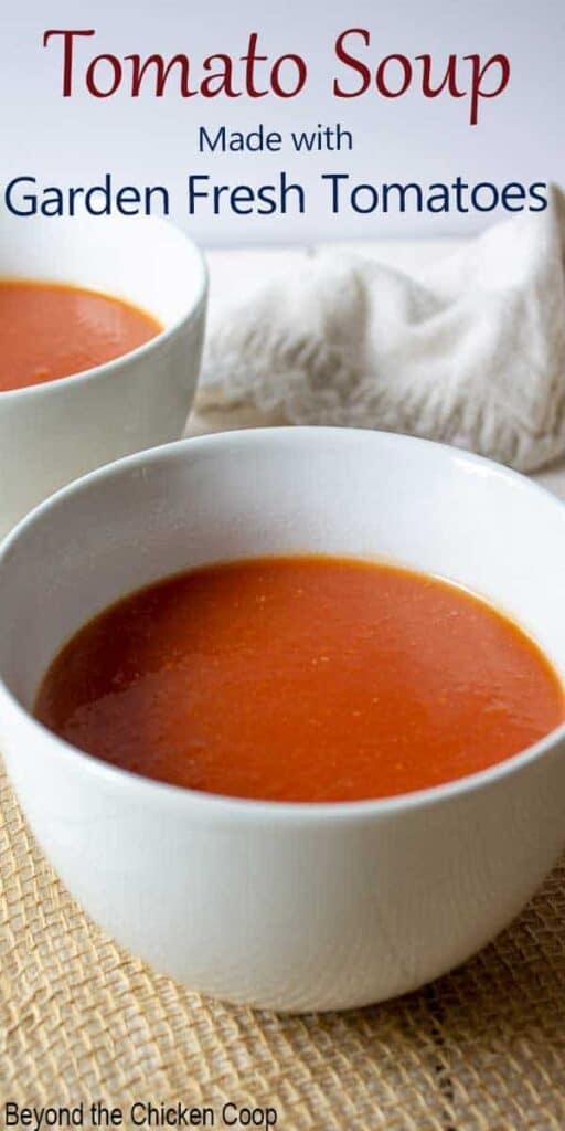 Slow Cooked Tomato Soup - Beyond The Chicken Coop