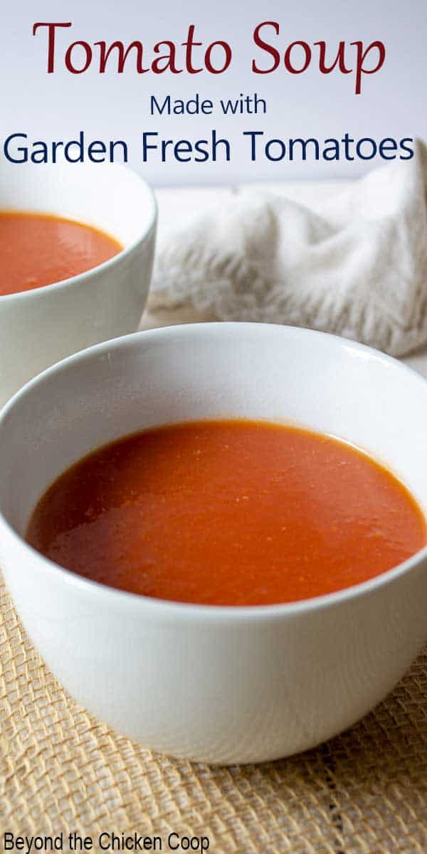 A bowl of tomato soup.