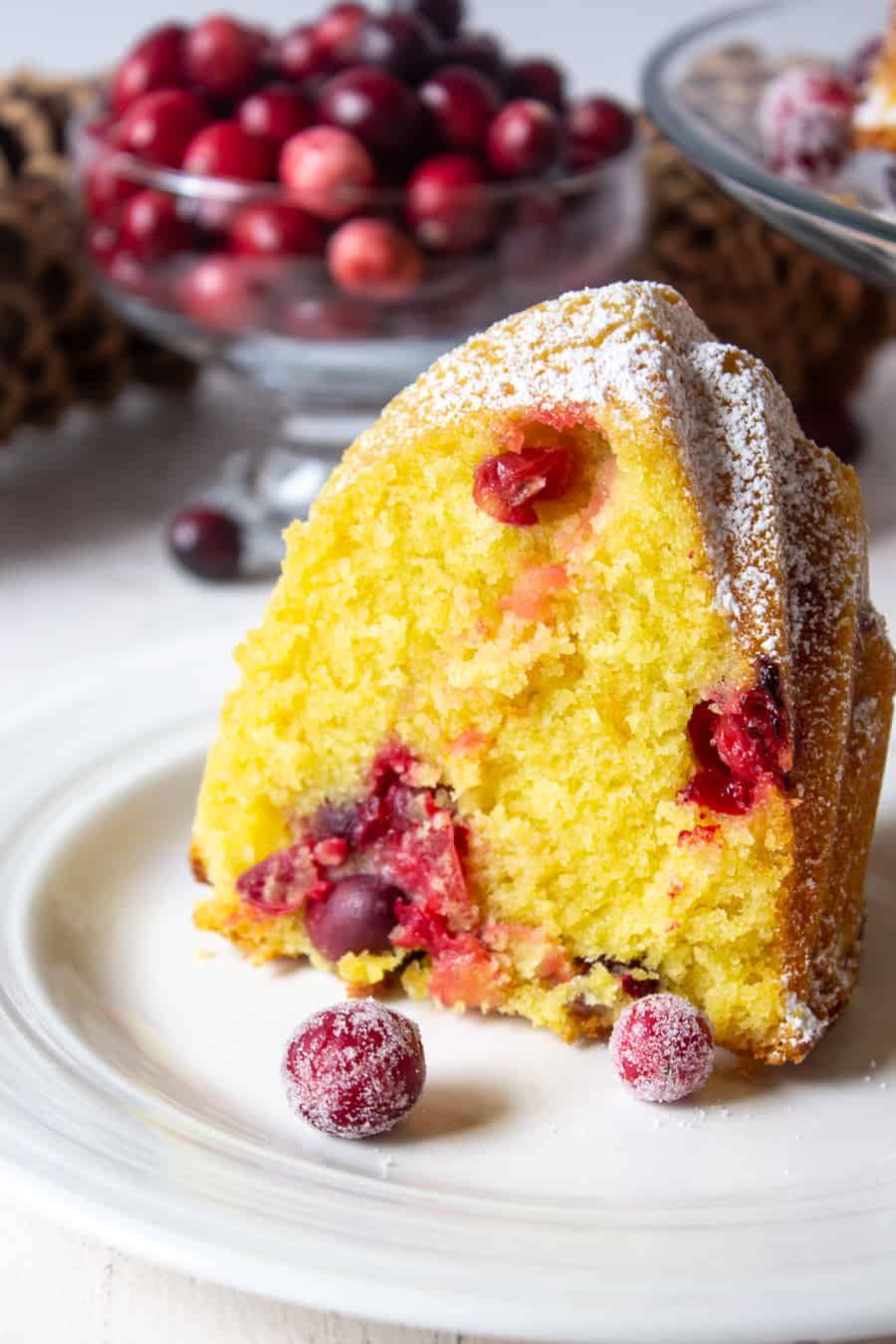 Cranberry Bundt Cake - Beyond The Chicken Coop