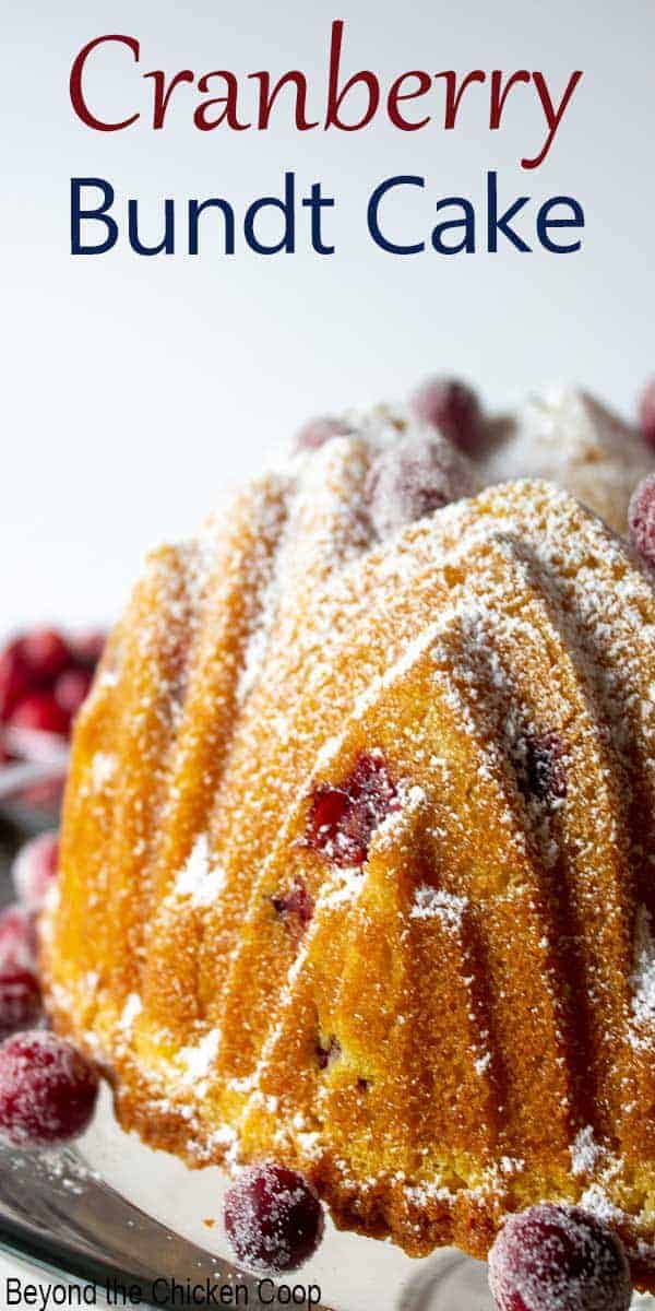 A fancy bundt cake filled with cranberries.