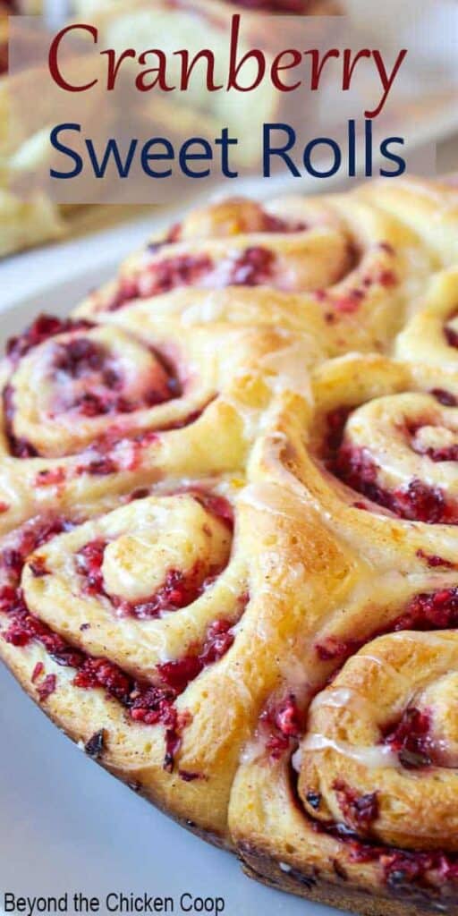 Sweet rolls filled with chopped cranberries.
