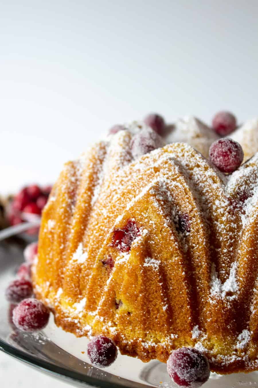 A fancy shaped bundt cake topped with sugared cranberries. 