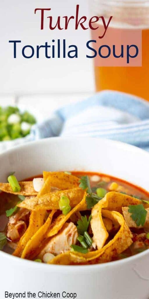 A bowl of soup filled with turkey, veggies and topped with tortilla strips.