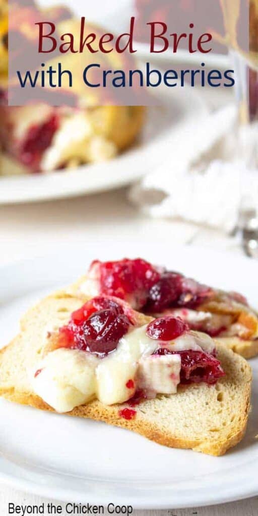 Melba toast topped with brie and cranberries.