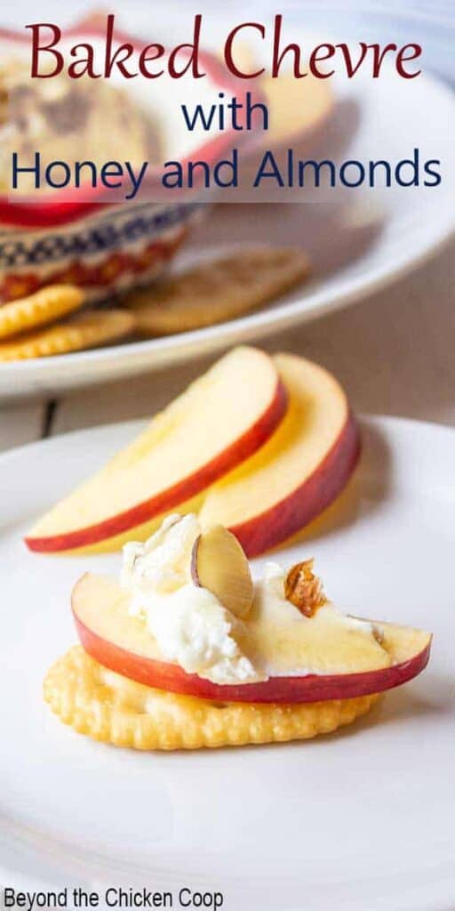 A cracker topped with an apple slice and a soft white cheese.