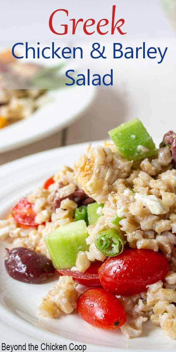 Chunks of chicken with barley, tomatoes, cucumbers and olives.