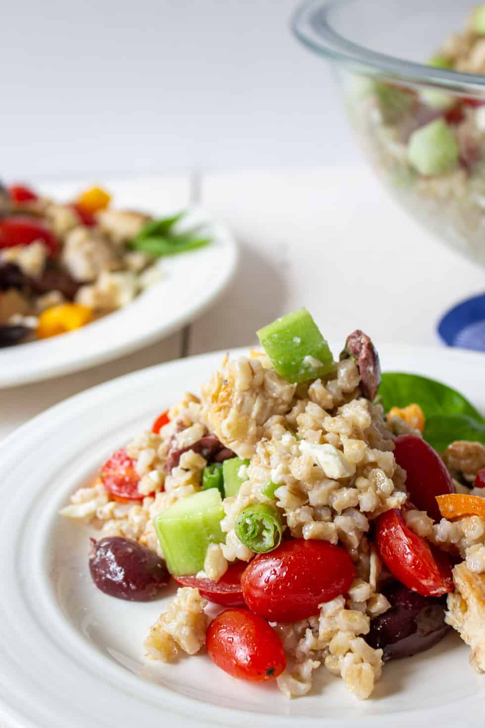 Salad with fresh tomatoes and veggies on a white plate. 