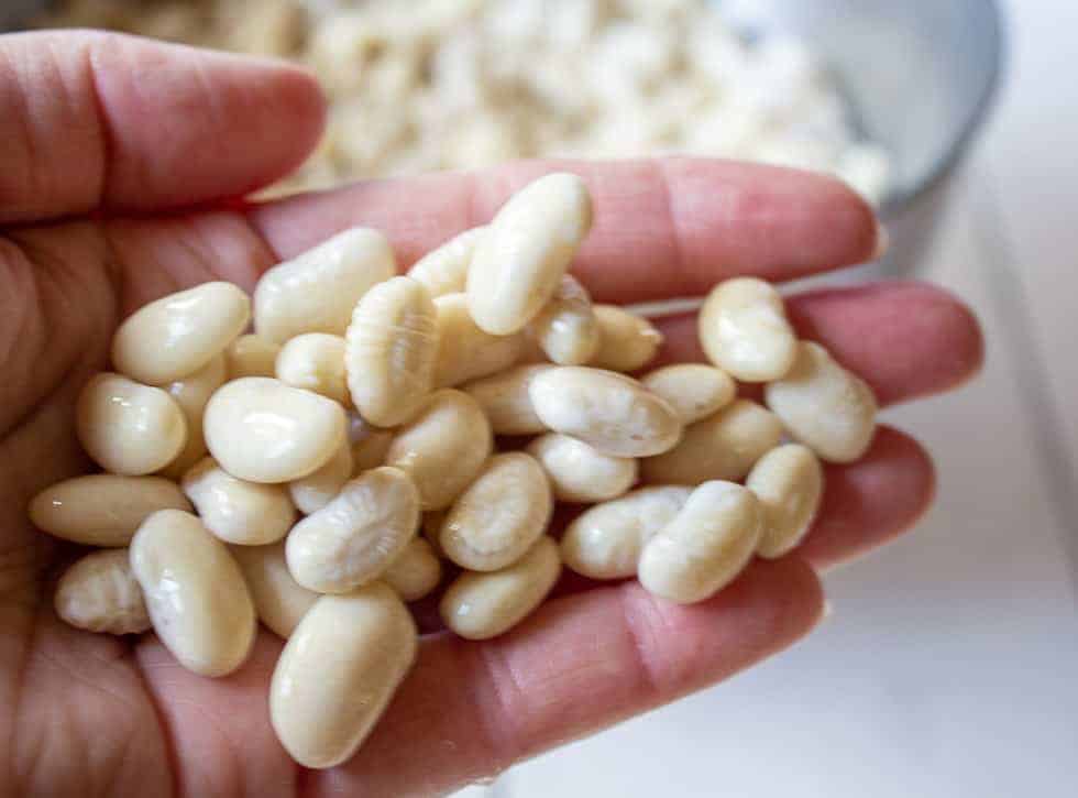 Soaked dried beans held in one hand. 