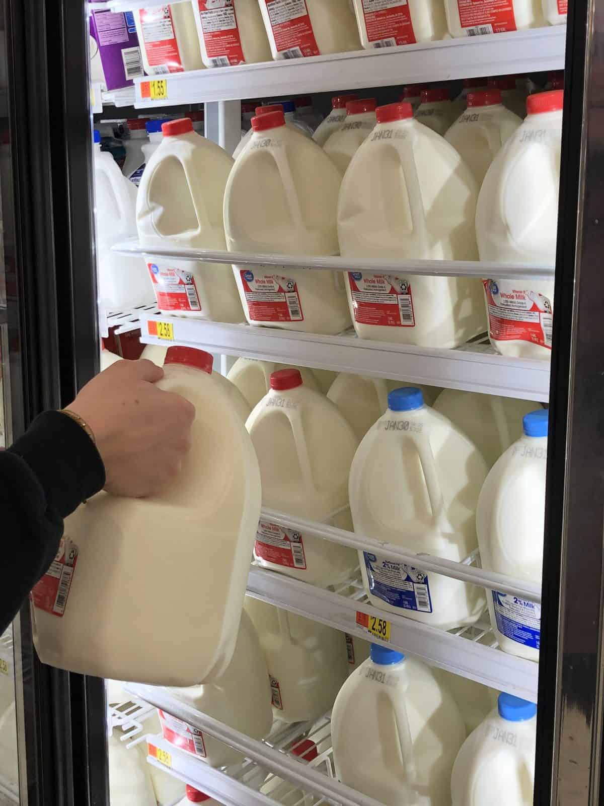 Gallons of milk in a display case at a store. 