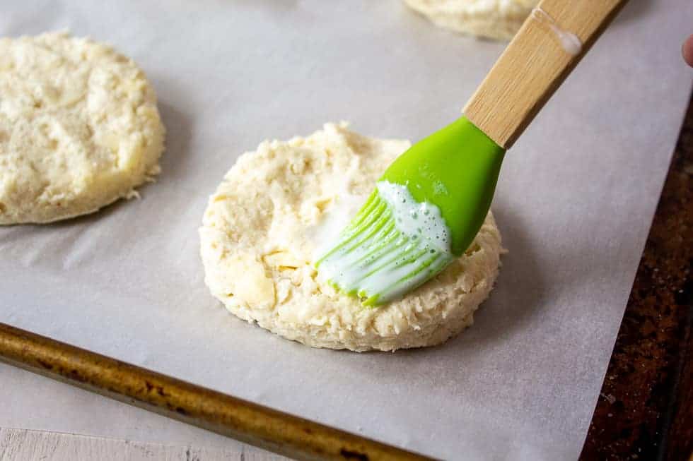 Round biscuit being brushed with buttermilk.