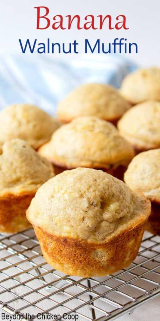 Muffins resting on a baking rack.