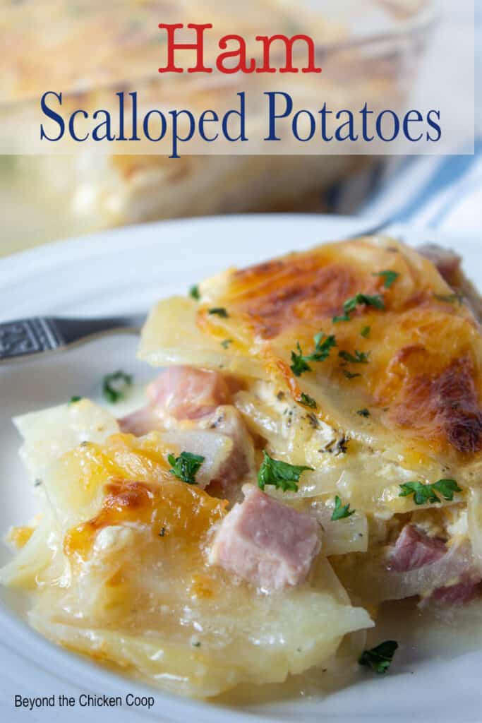 A plate with a serving of potato casserole with ham and cheese.