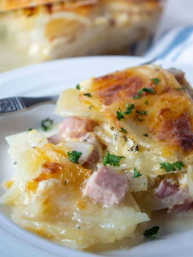 https://www.beyondthechickencoop.com/wp-content/uploads/2020/03/cropped-Ham-and-Scalloped-Potatoes-Pic-640x853.jpg