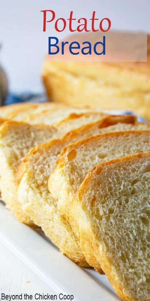 Sliced bread overlapping in a line on a plate.