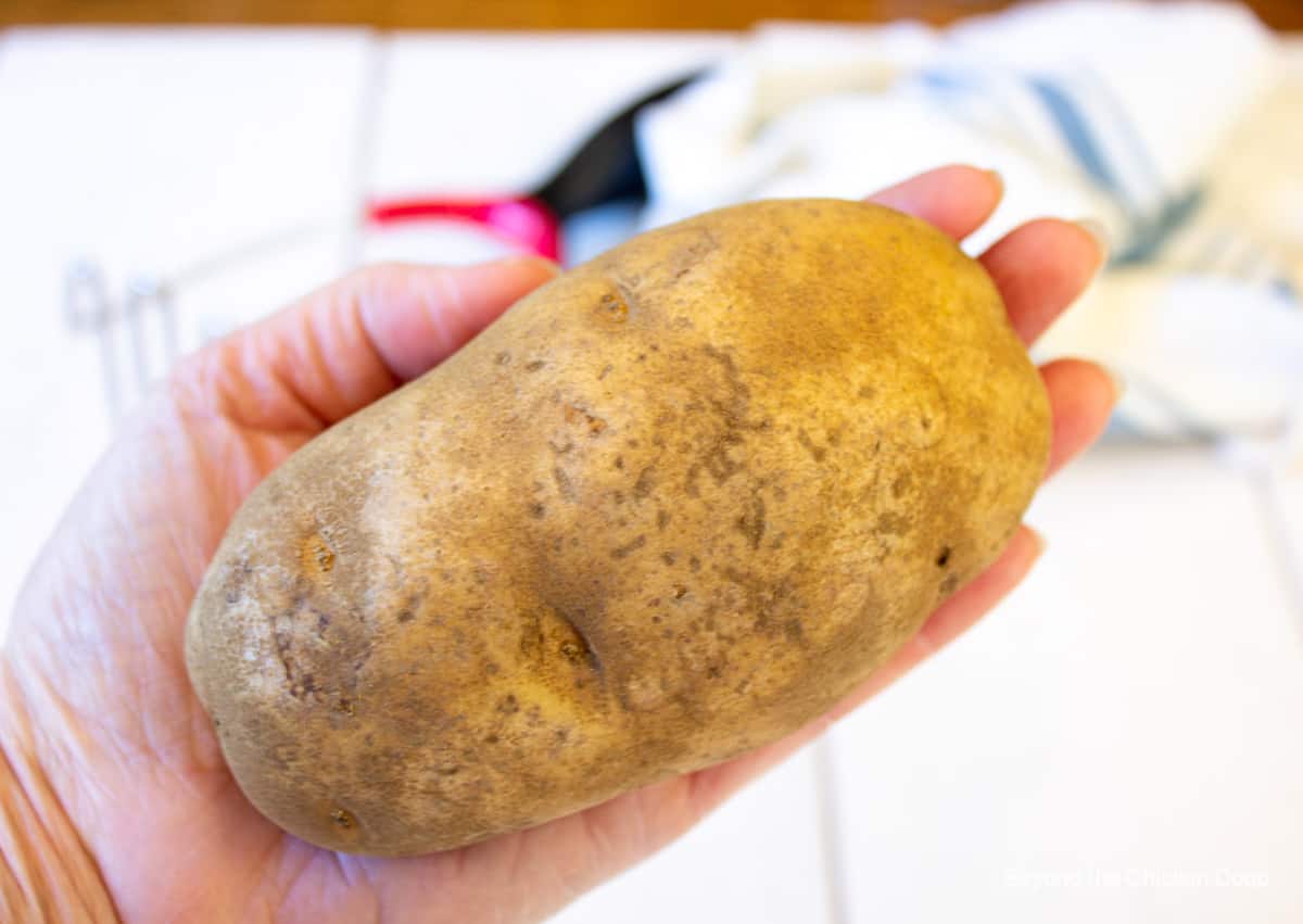 A large russet potato in one hand.