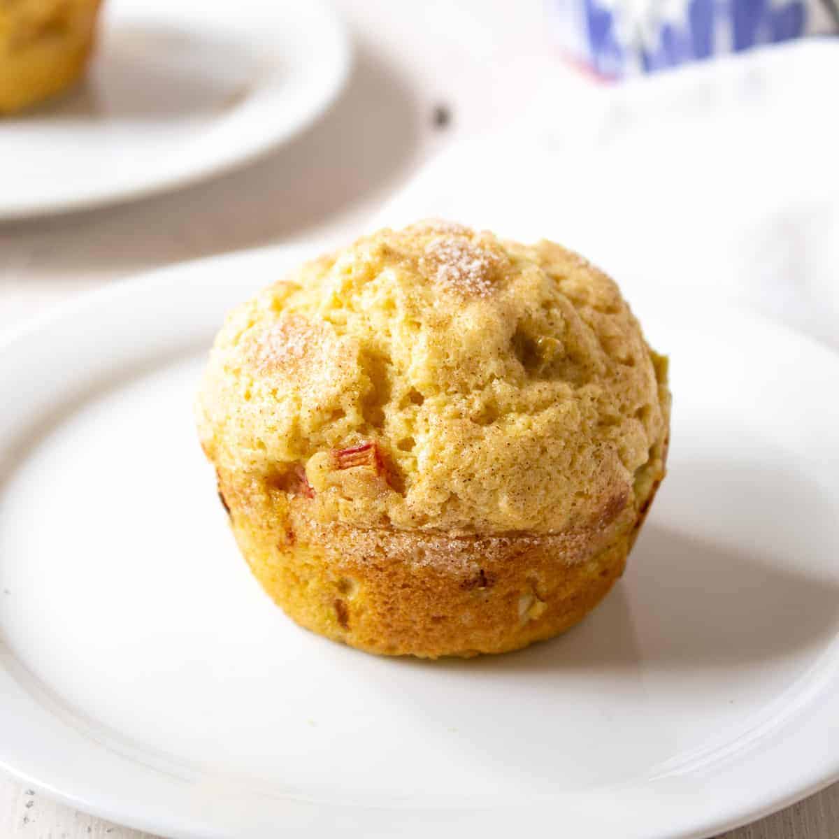 One rhubarb muffin sitting on a small white plate.