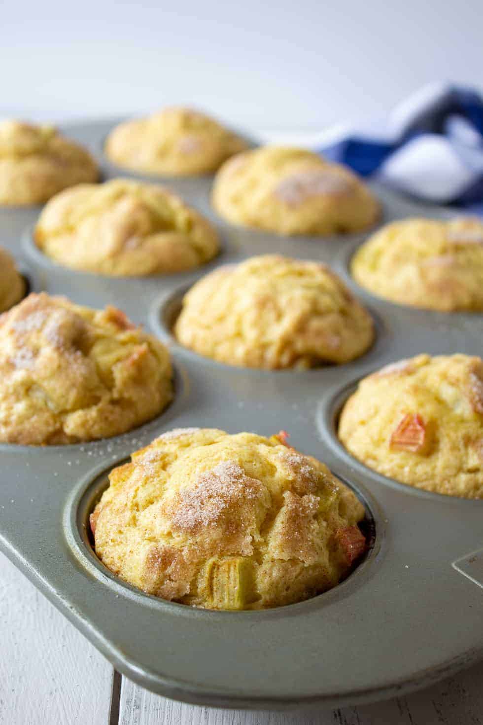 Baked rhubarb muffins still sitting in a muffin tin. 