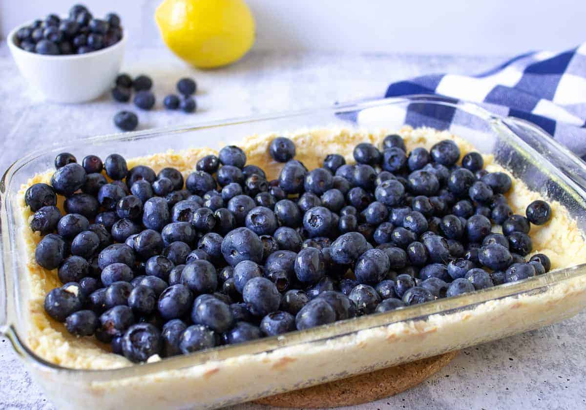 Blueberries on top of a shortbread crust.