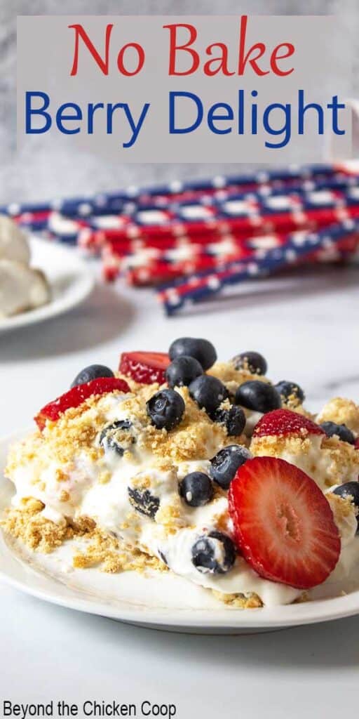 Berry delight with blueberries and strawberries on a plate.
