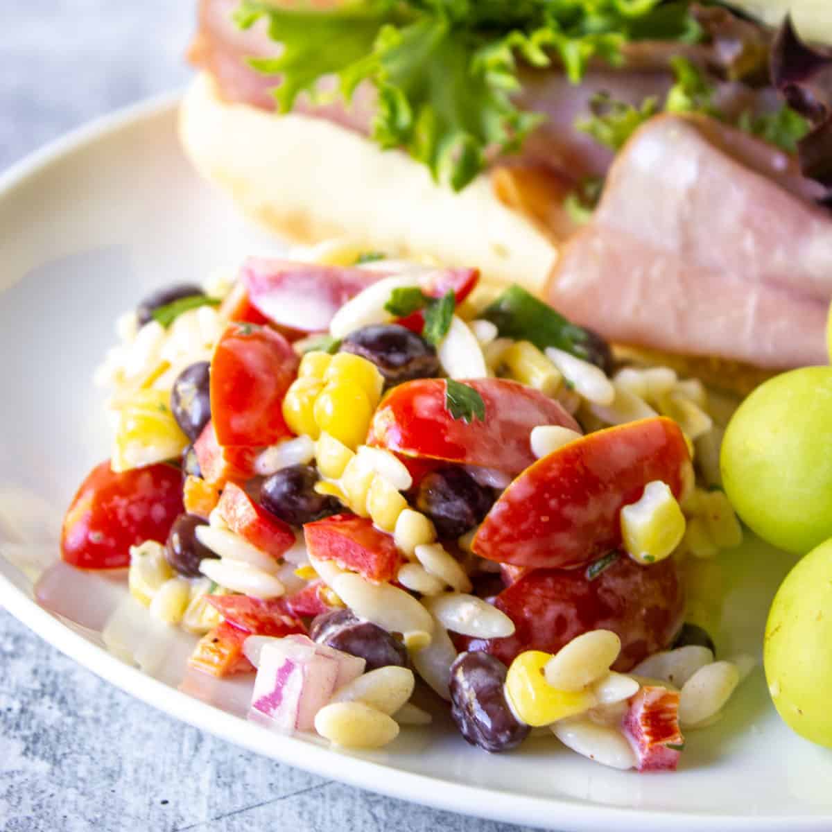 Orzo pasta salad on a white plate with a sandwich and grapes.