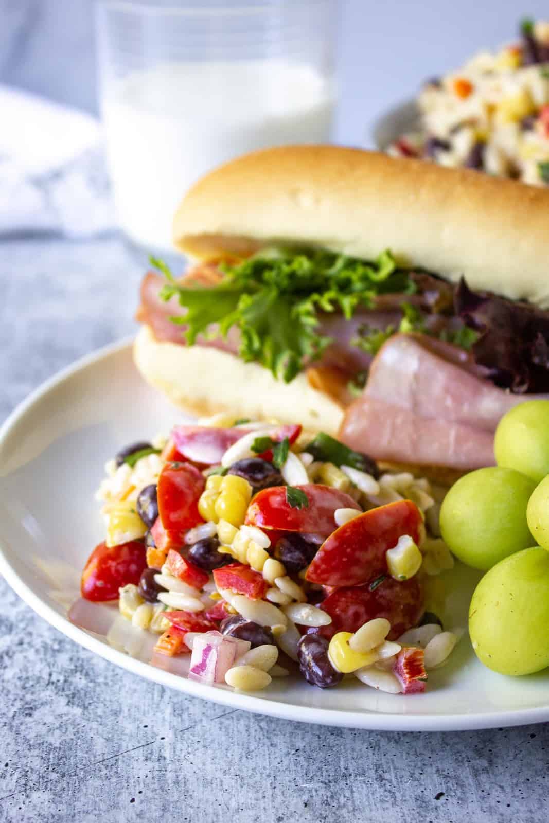 A plate with a ham sandwich, fresh grapes and a pasta salad.