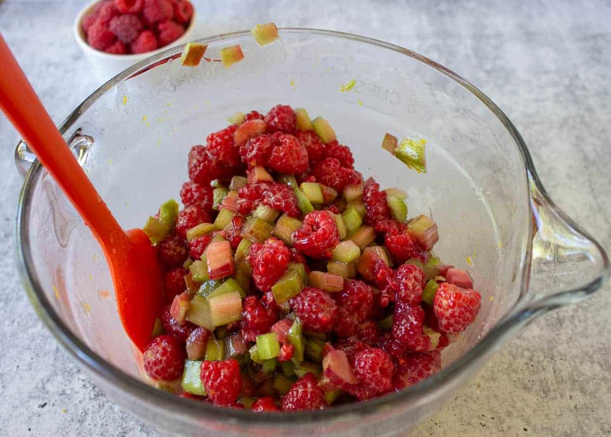 Raspberries mixed with rhubarb.