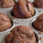 Chocolate muffins in a muffin tin.