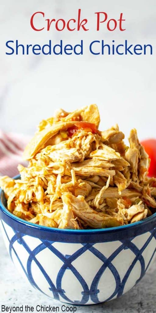 A bowl filled with shredded chicken and bits of tomatoes.