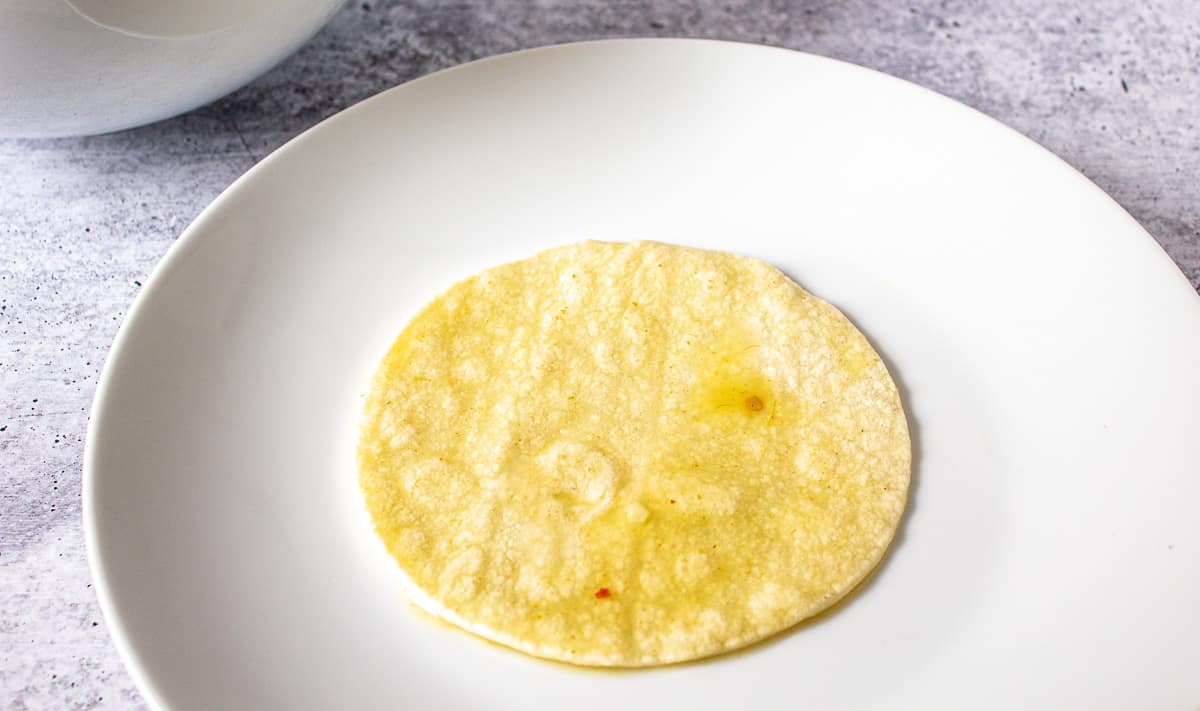 A corn tortilla covered with sauce.