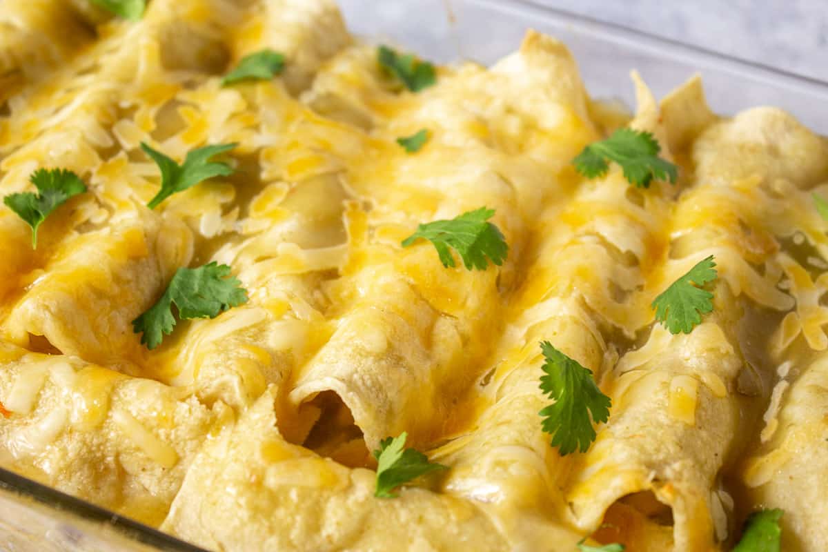 Cheesy enchiladas topped with fresh cilantro.