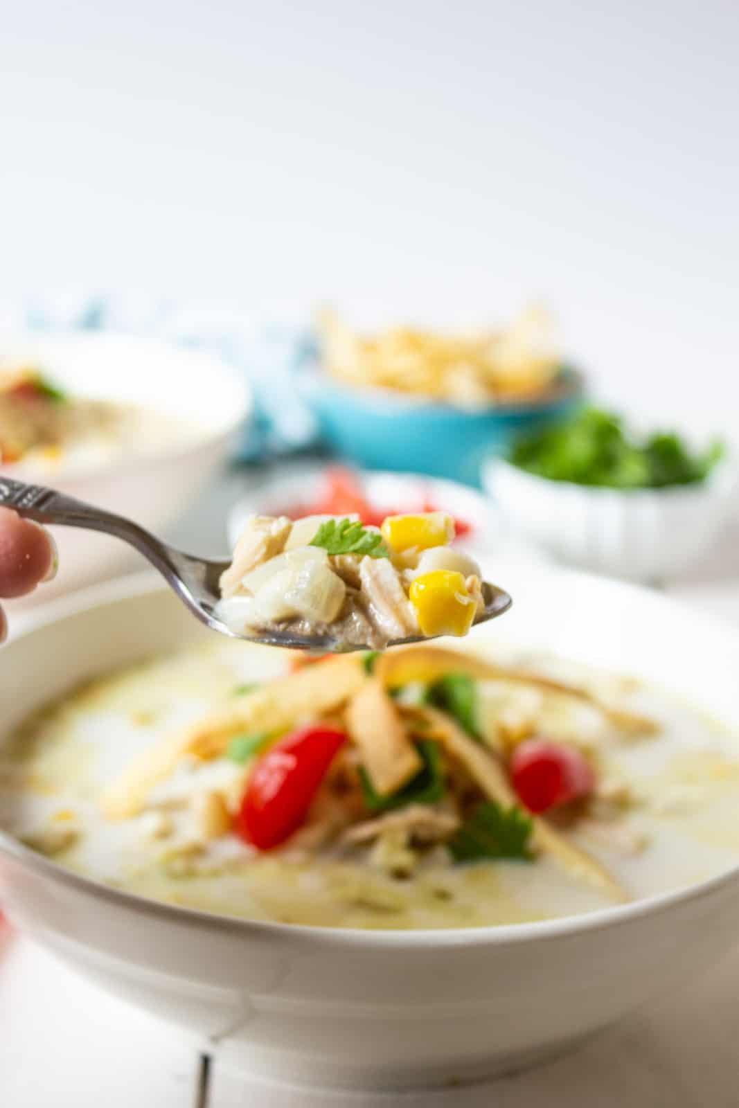 A spoonful filled with white beans and chunks of chicken in a creamy broth.