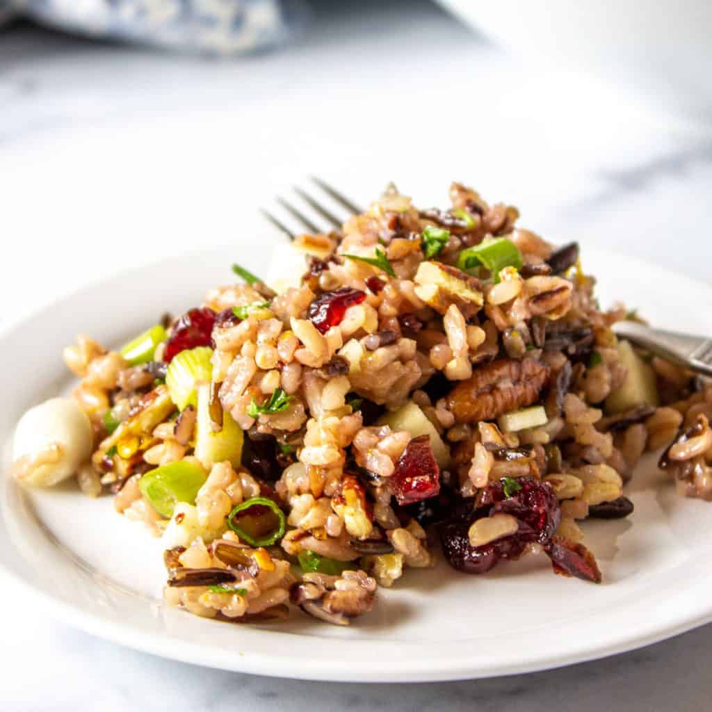 Wild rice salad with dried cranberries, pecans and green onions on a small white plate with a fork.