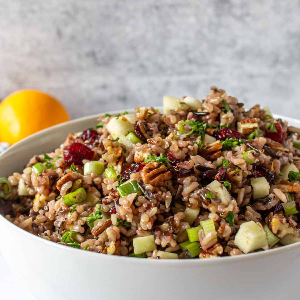 https://www.beyondthechickencoop.com/wp-content/uploads/2020/11/Wild-Rice-Salad-with-Cranberries-Picture.jpg