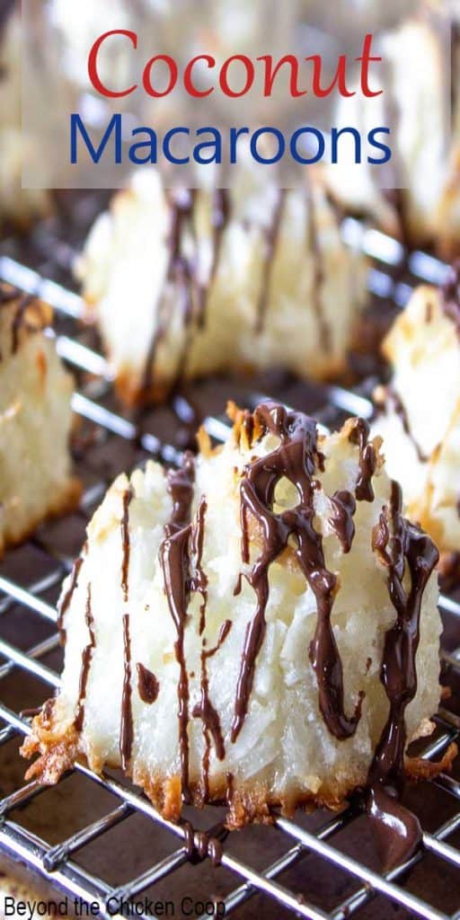 Coconut macaroon drizzled with a thin chocolate sauce across the top of the cookie.