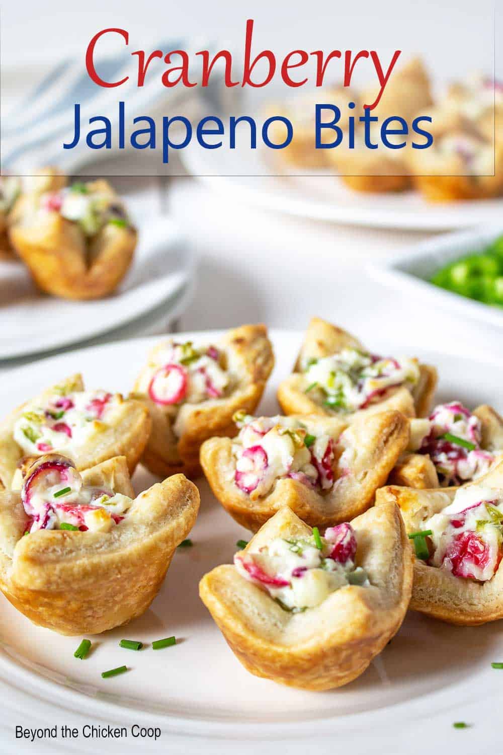 Cranberry Jalapeno Bites Beyond The Chicken Coop