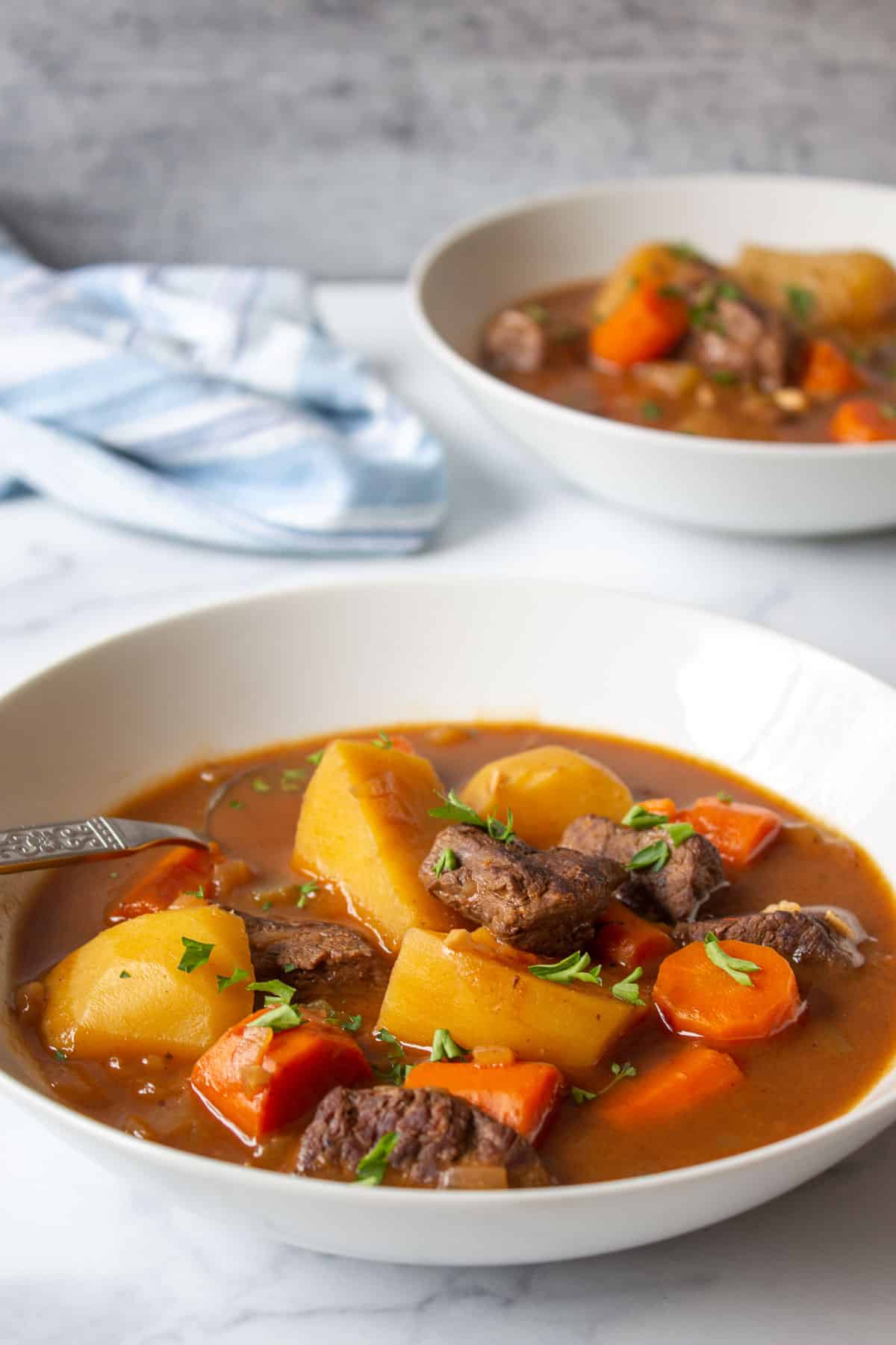 A bowl of stew with carrots and potatoes.