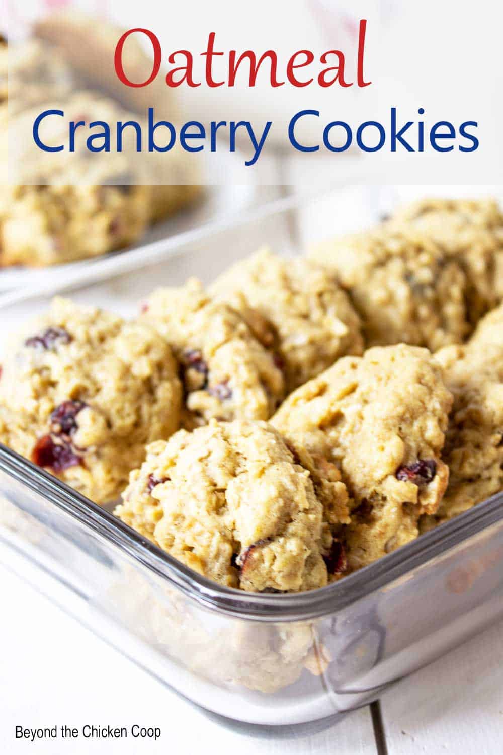 Oatmeal Cranberry Cookies Beyond The Chicken Coop