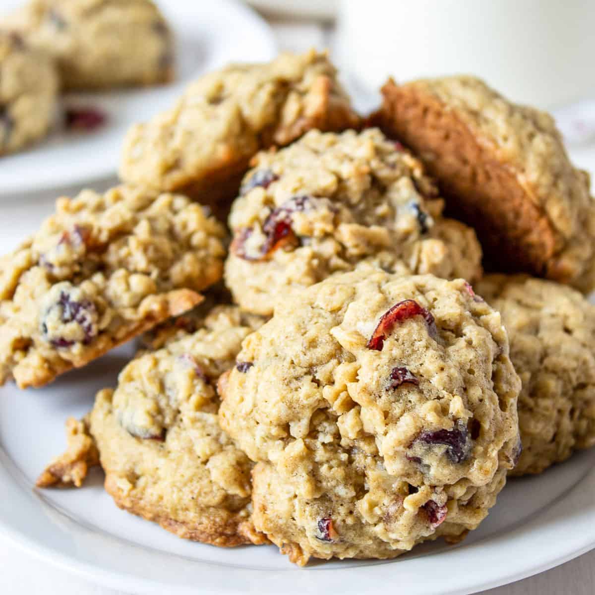 A plate filled with a stack of oatmeal cranberry cookies. 