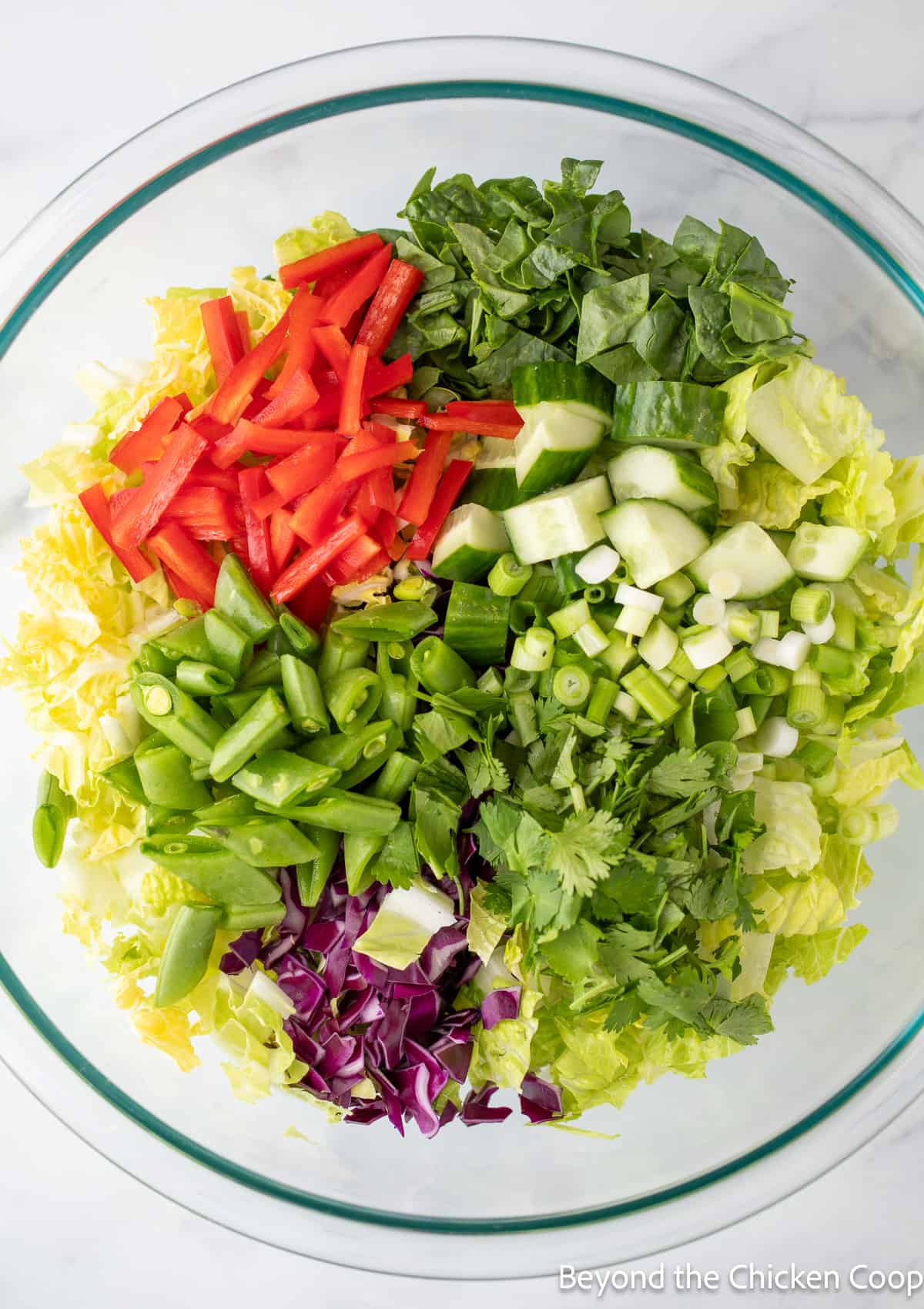 Lettuce and chopped veggies in a large bowl. 