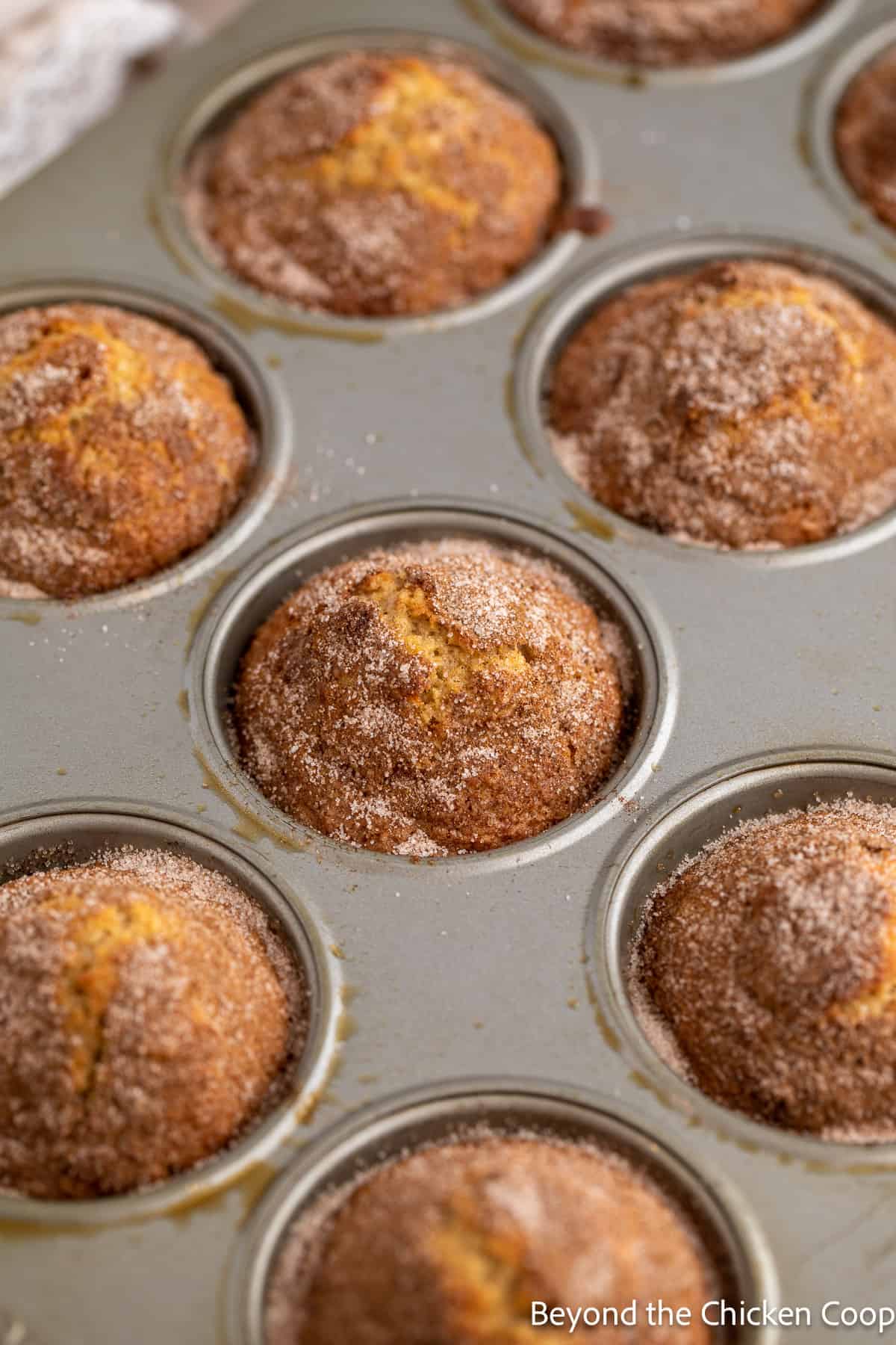 Baked muffins topped with cinnamon in a muffin tin. 