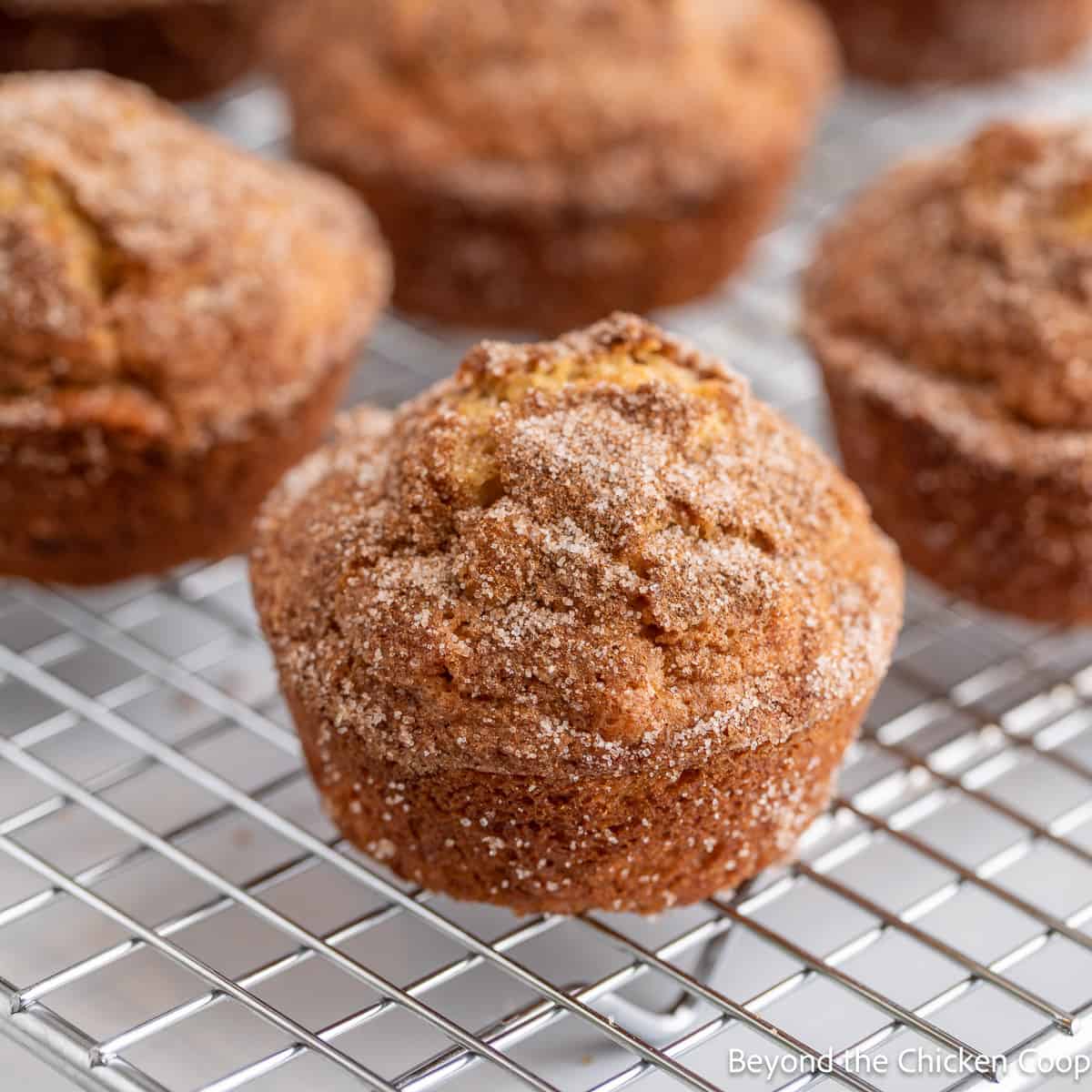 Cinnamon muffins on a baking rack.