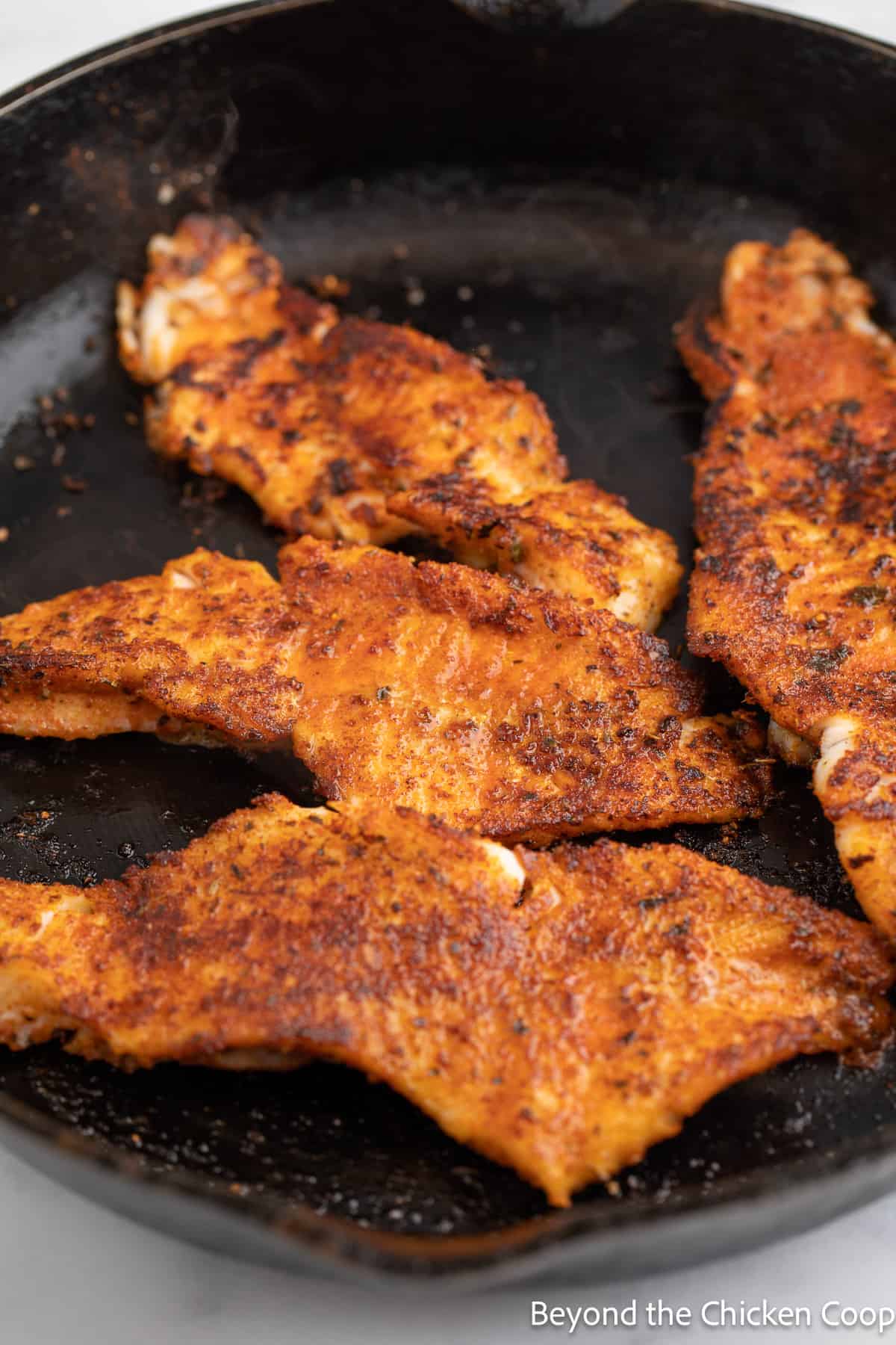 Cooked blackened fish in a cast iron skillet. 