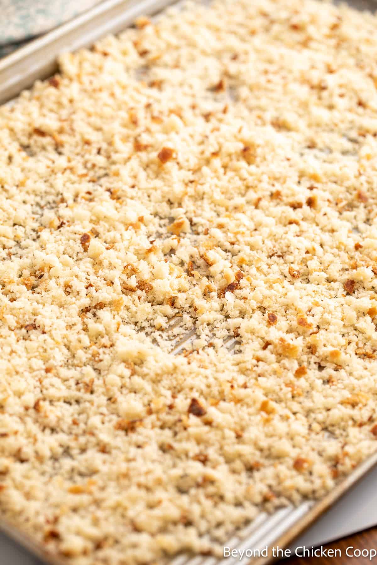 Breadcrumbs on a baking sheet. 