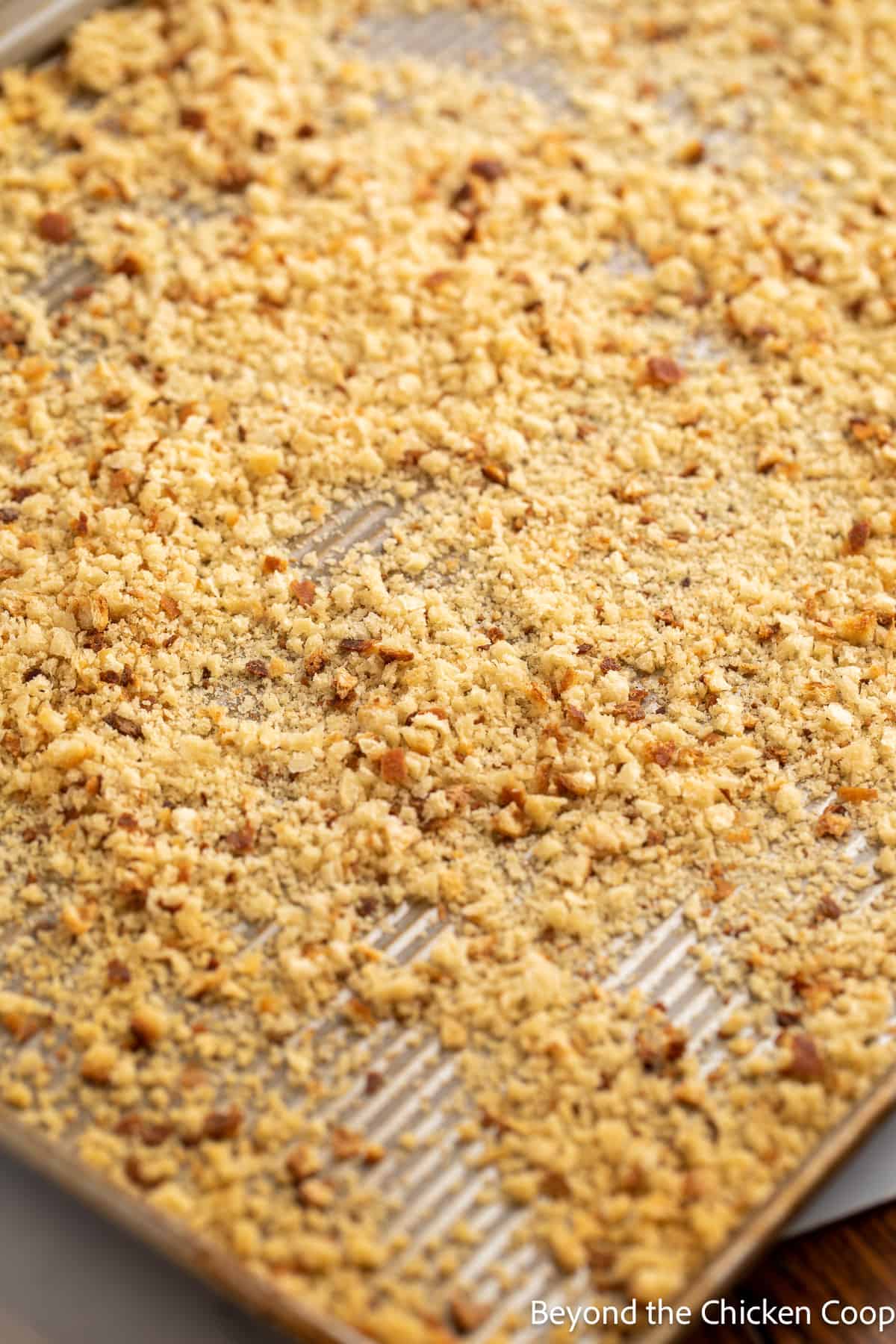 Toasted breadcrumbs on a baking sheet. 